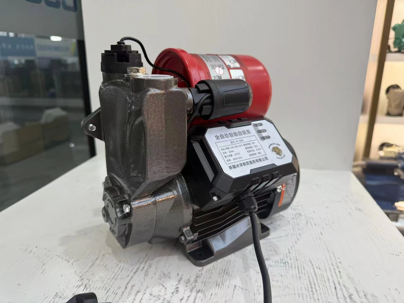 Automatic Water Pump